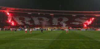 FK Crvena zvezda; Delije
